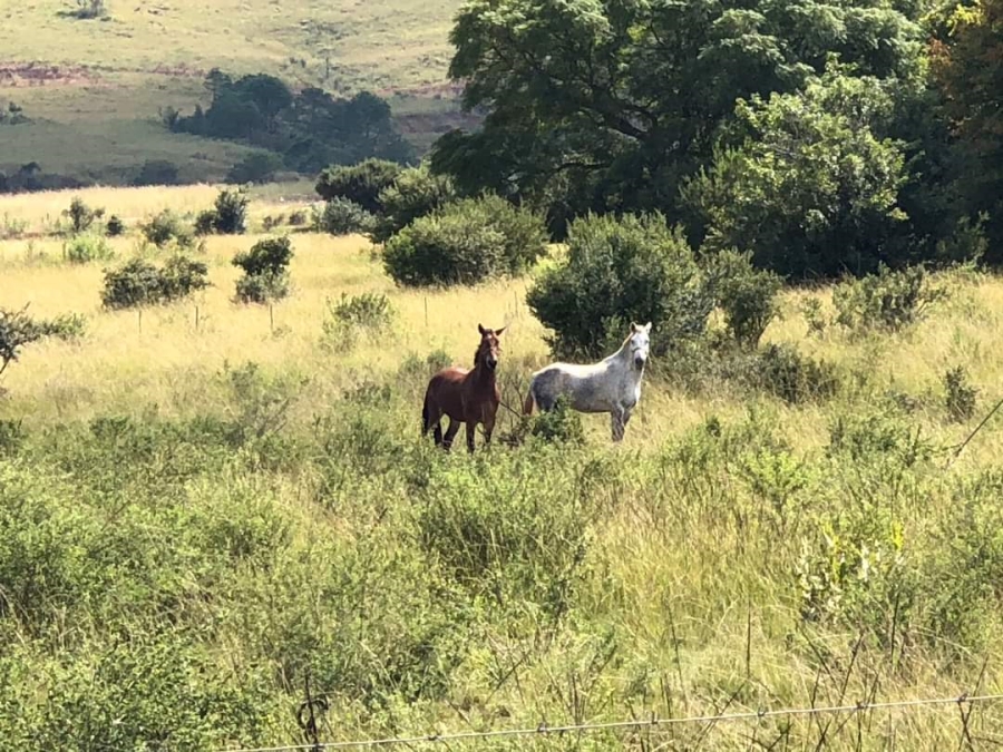 Commercial Property for Sale in Lydenburg Rural Mpumalanga
