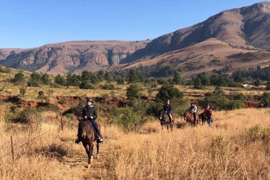 Commercial Property for Sale in Lydenburg Rural Mpumalanga