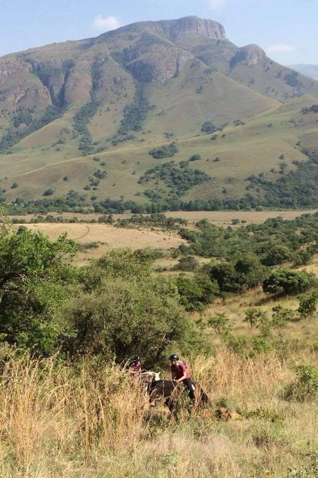 Commercial Property for Sale in Lydenburg Rural Mpumalanga