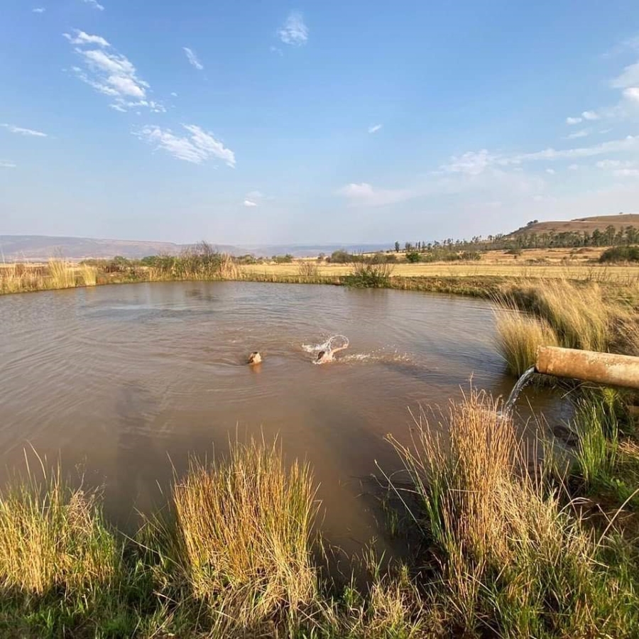 Commercial Property for Sale in Lydenburg Rural Mpumalanga