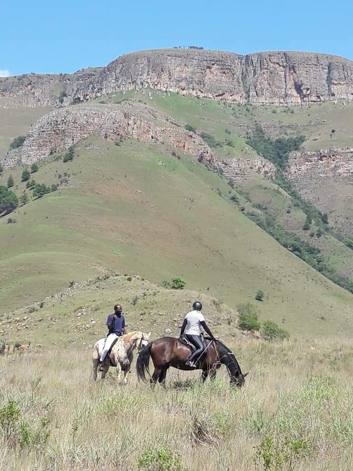 Commercial Property for Sale in Lydenburg Rural Mpumalanga