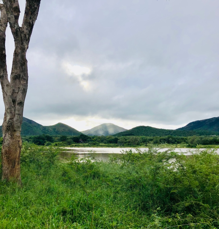Commercial Property for Sale in Malelane Rural Mpumalanga
