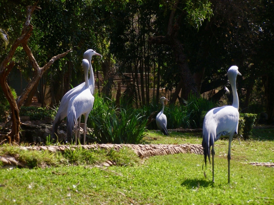 Commercial Property for Sale in Malelane Rural Mpumalanga