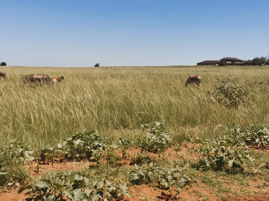 0 Bedroom Property for Sale in Witbank Mpumalanga