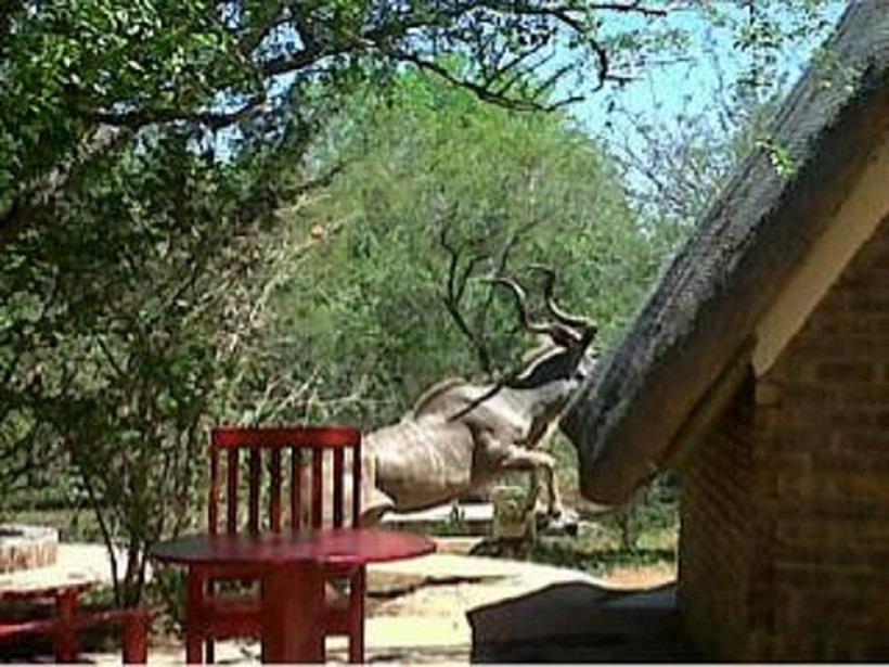 5 Bedroom Property for Sale in Marloth Park Mpumalanga
