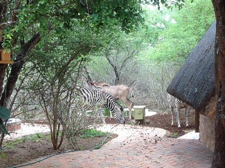 5 Bedroom Property for Sale in Marloth Park Mpumalanga