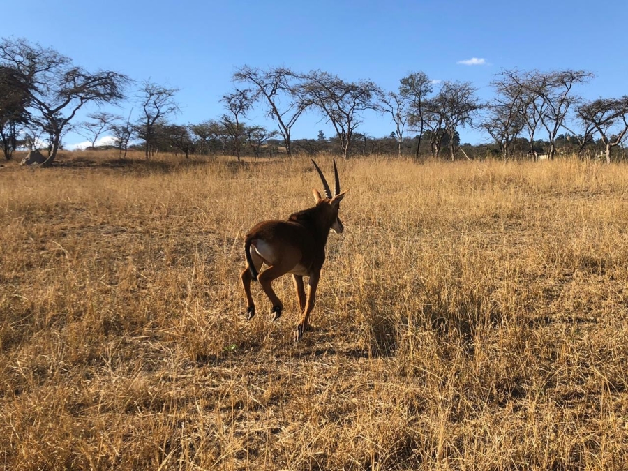 Commercial Property for Sale in White River Ext 18 Mpumalanga