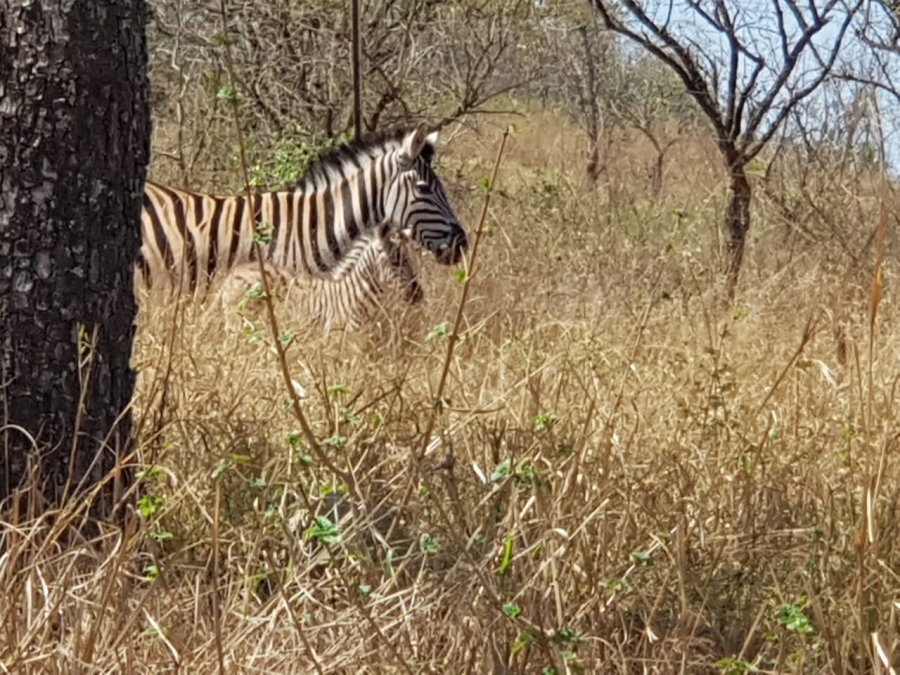 Commercial Property for Sale in White River Ext 18 Mpumalanga