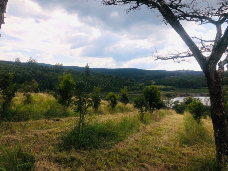 Commercial Property for Sale in White River Rural Mpumalanga