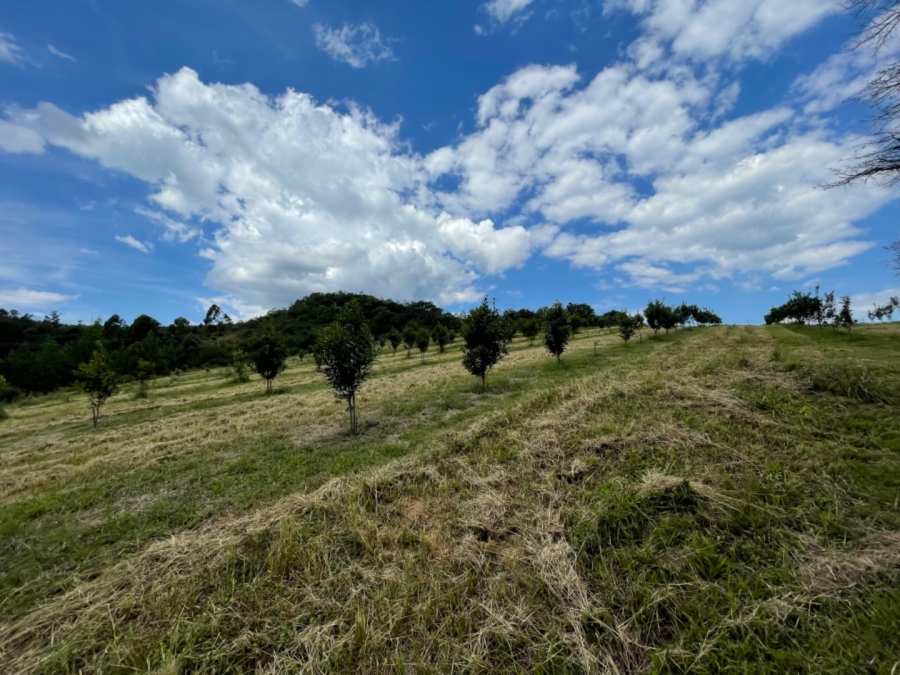 Commercial Property for Sale in White River Rural Mpumalanga