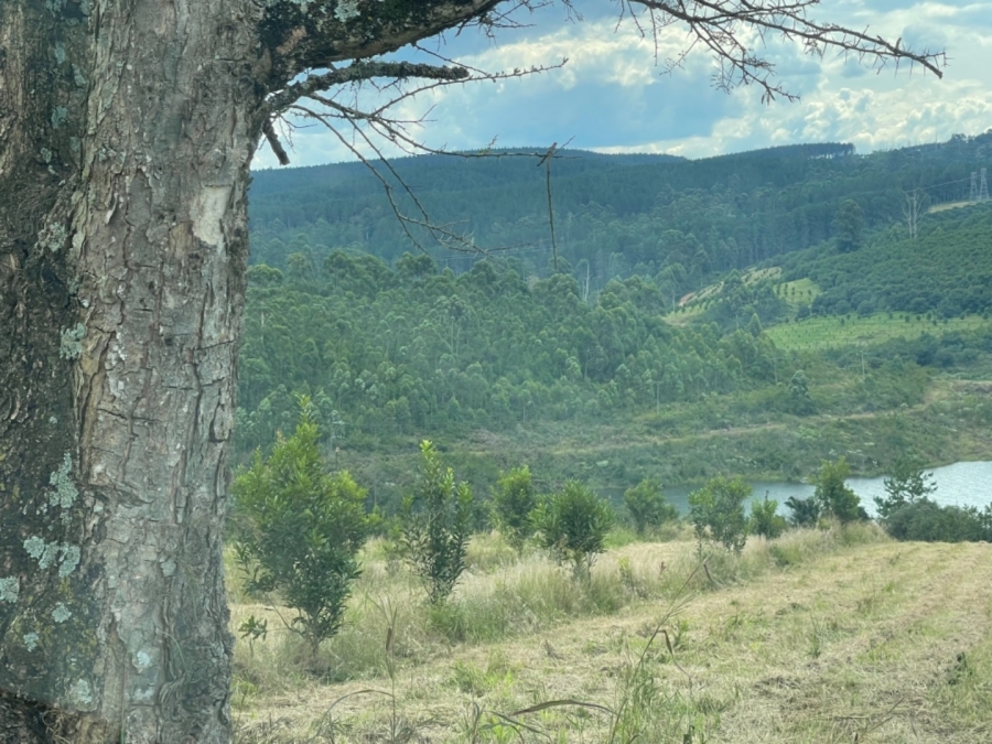 Commercial Property for Sale in White River Rural Mpumalanga