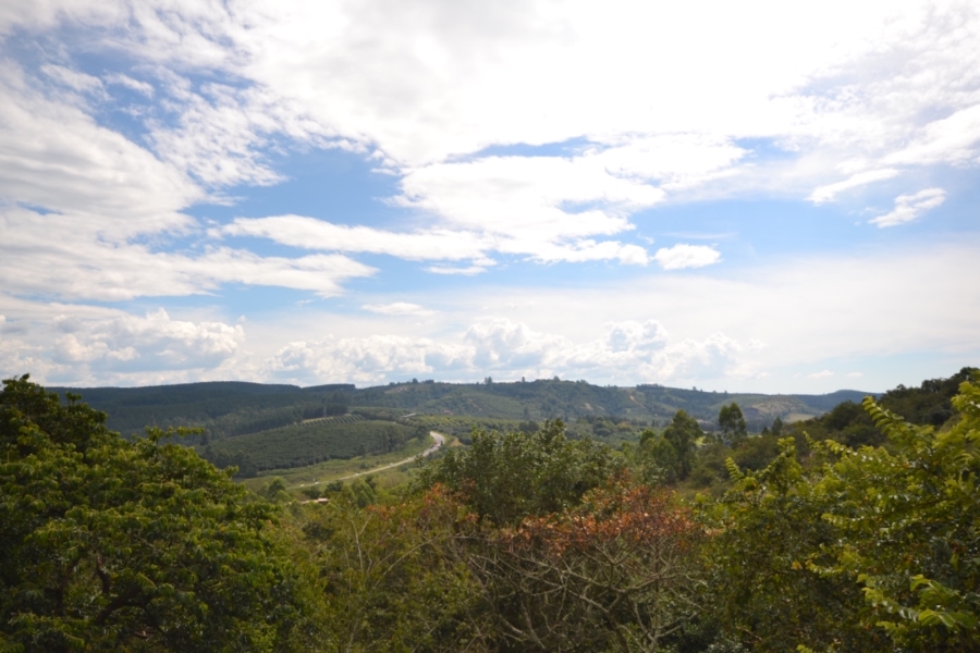 Commercial Property for Sale in White River Rural Mpumalanga