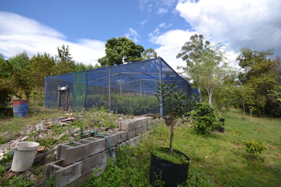 Commercial Property for Sale in White River Rural Mpumalanga