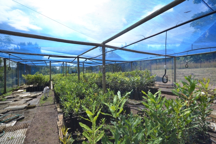 Commercial Property for Sale in White River Rural Mpumalanga