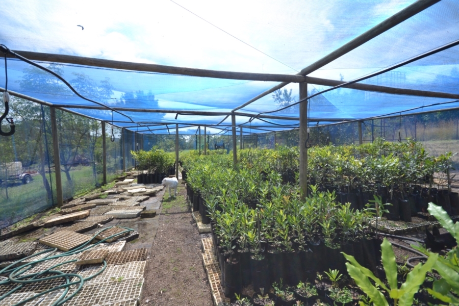 Commercial Property for Sale in White River Rural Mpumalanga