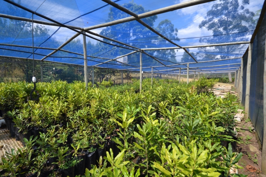 Commercial Property for Sale in White River Rural Mpumalanga