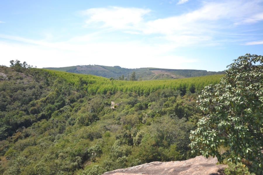 Commercial Property for Sale in White River Rural Mpumalanga