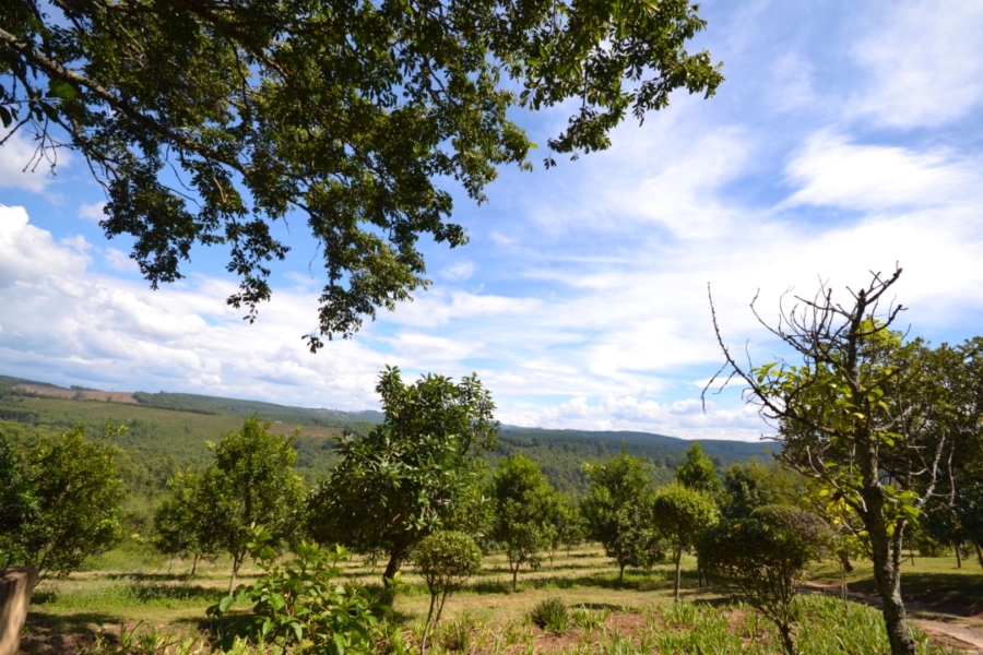 Commercial Property for Sale in White River Rural Mpumalanga
