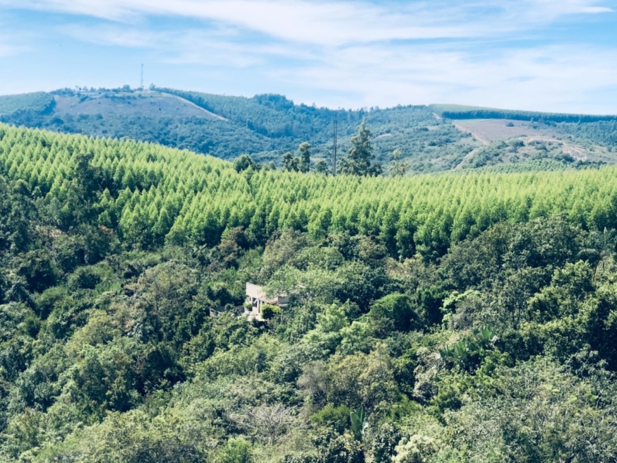 Commercial Property for Sale in White River Rural Mpumalanga