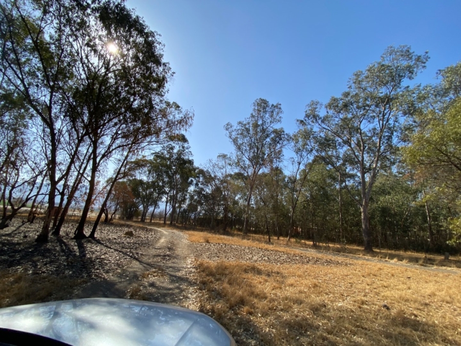 To Let commercial Property for Rent in Lydenburg Rural Mpumalanga