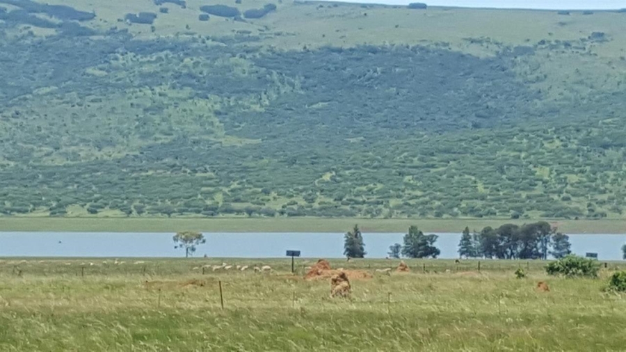 To Let commercial Property for Rent in Lydenburg Rural Mpumalanga