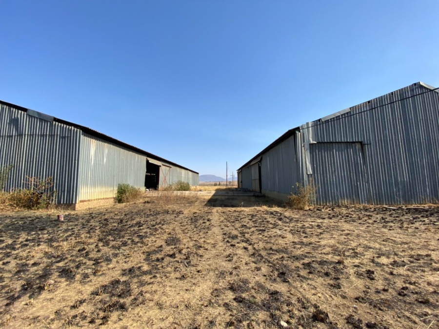 To Let commercial Property for Rent in Lydenburg Rural Mpumalanga