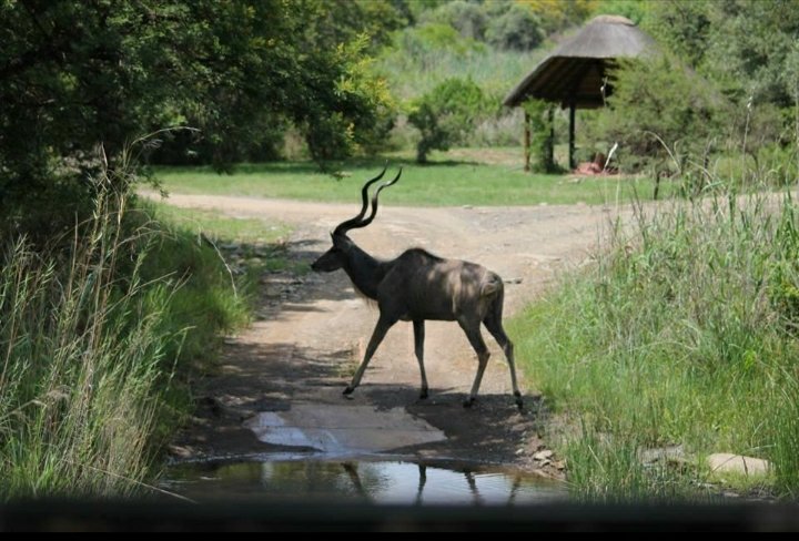 Commercial Property for Sale in Lydenburg Rural Mpumalanga