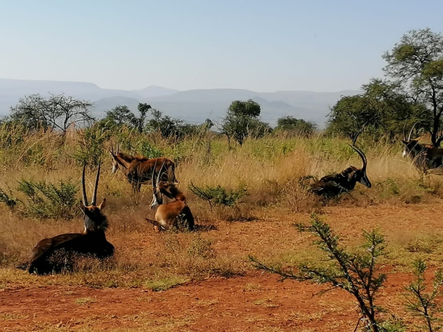Commercial Property for Sale in Lydenburg Rural Mpumalanga
