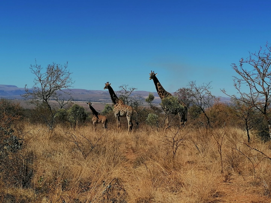 Commercial Property for Sale in Lydenburg Rural Mpumalanga