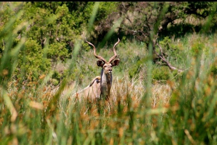Commercial Property for Sale in Lydenburg Rural Mpumalanga