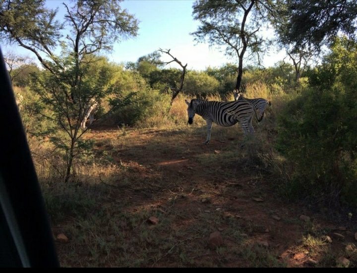 Commercial Property for Sale in Lydenburg Rural Mpumalanga