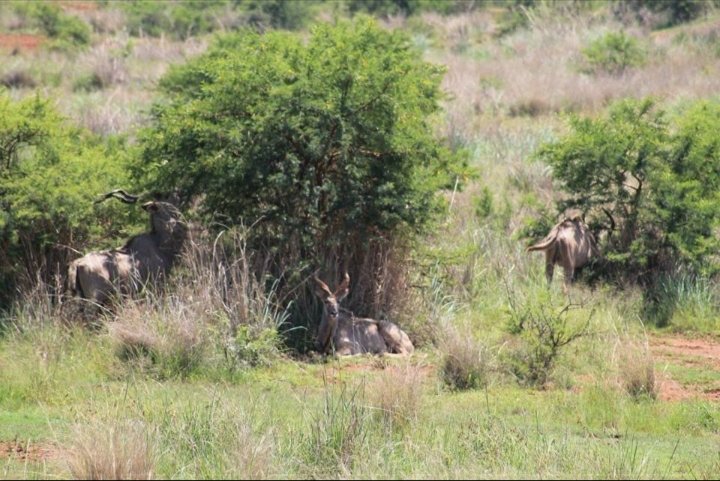 Commercial Property for Sale in Lydenburg Rural Mpumalanga