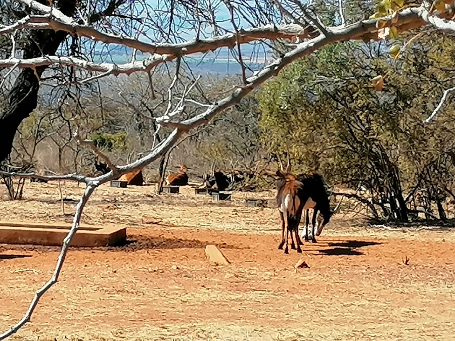 Commercial Property for Sale in Lydenburg Rural Mpumalanga