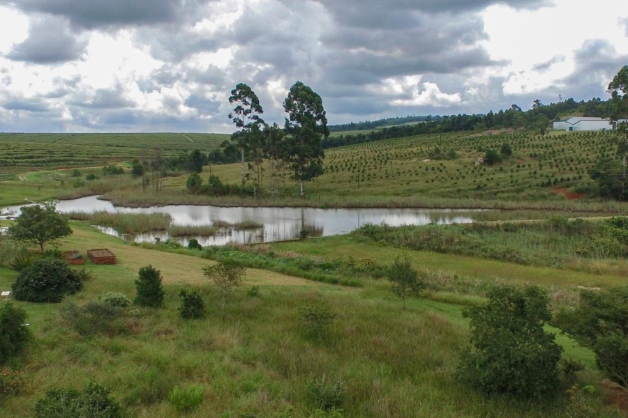 4 Bedroom Property for Sale in White River Rural Mpumalanga
