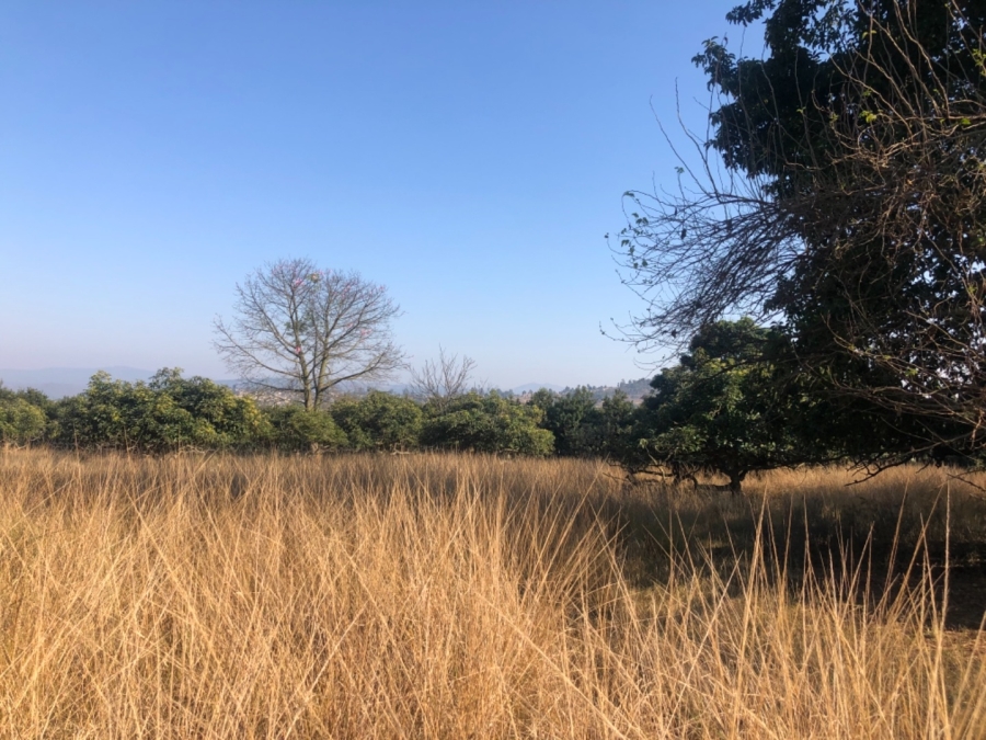 5 Bedroom Property for Sale in White River Ext 1 Mpumalanga