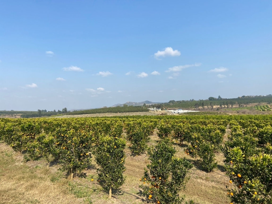 Commercial Property for Sale in White River Mpumalanga