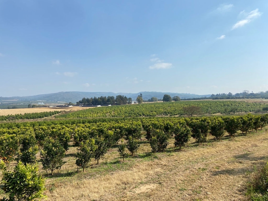 Commercial Property for Sale in White River Mpumalanga