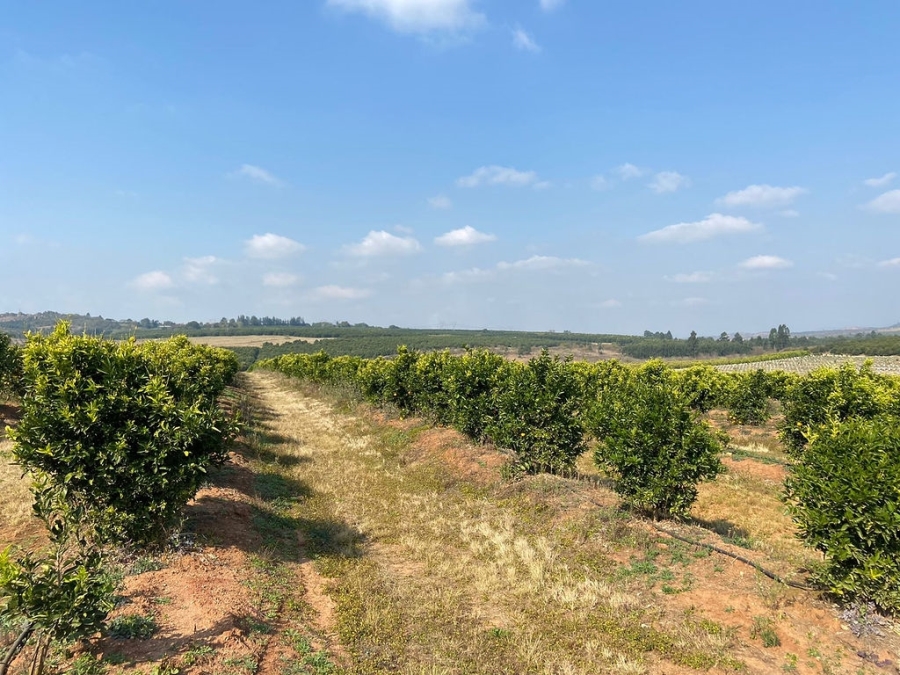 Commercial Property for Sale in White River Mpumalanga