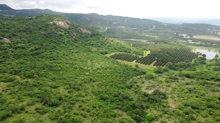 Commercial Property for Sale in White River Mpumalanga