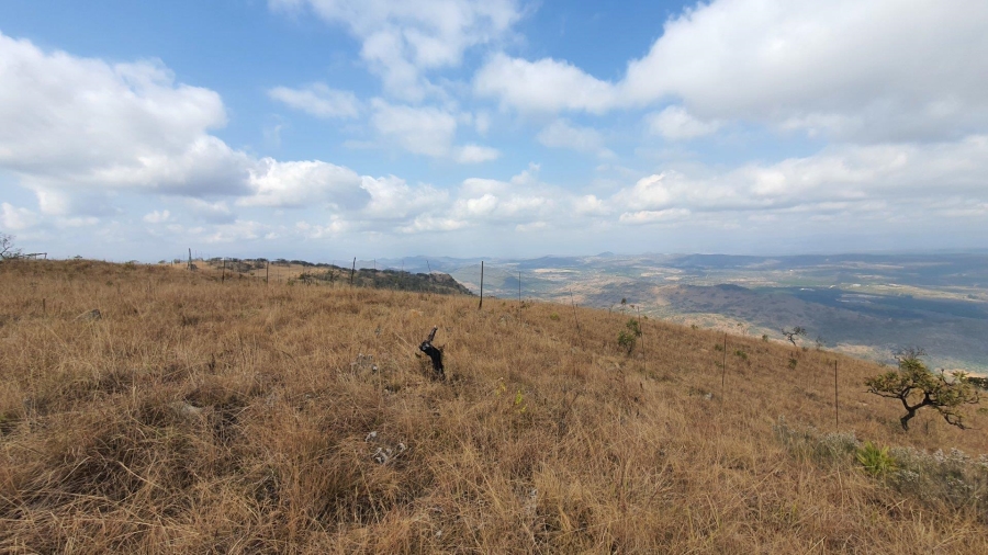 0 Bedroom Property for Sale in Hilltop AH Mpumalanga