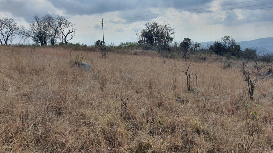 0 Bedroom Property for Sale in Hilltop AH Mpumalanga