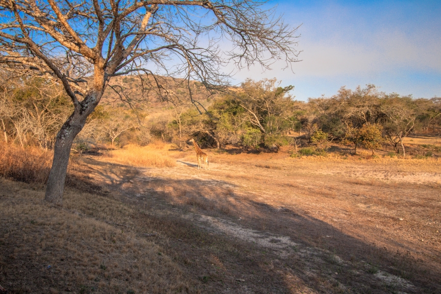 0 Bedroom Property for Sale in Hilltop AH Mpumalanga