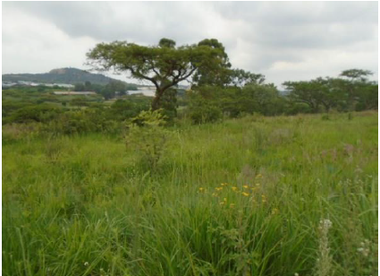 0 Bedroom Property for Sale in Nelspruit Rural Mpumalanga
