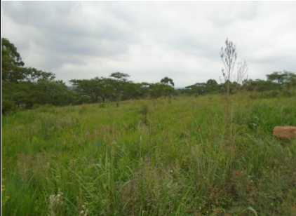 0 Bedroom Property for Sale in Nelspruit Rural Mpumalanga