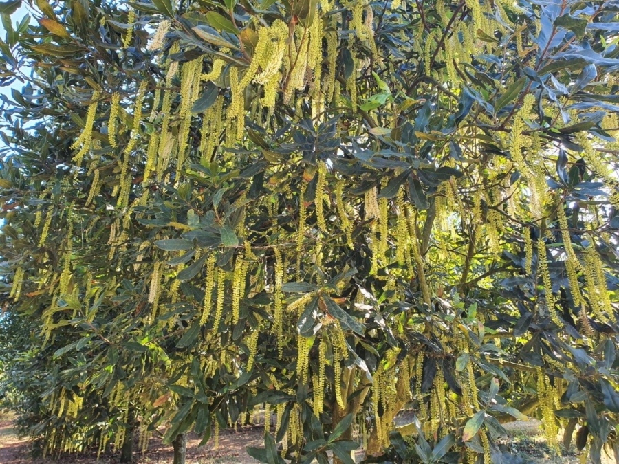 0 Bedroom Property for Sale in Hilltop Mpumalanga