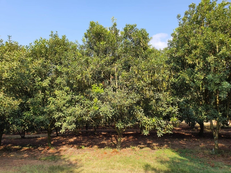 0 Bedroom Property for Sale in Hilltop Mpumalanga