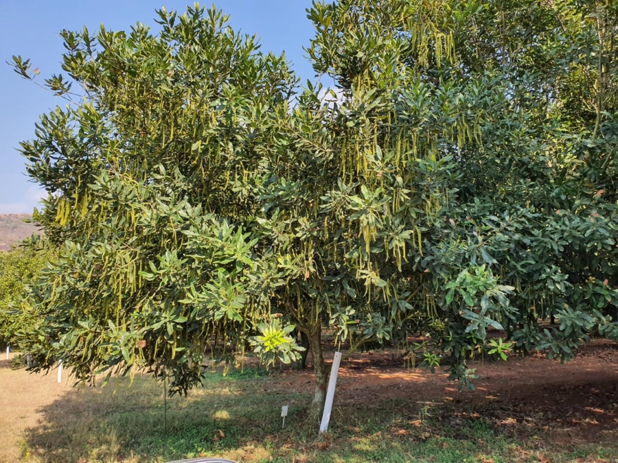 0 Bedroom Property for Sale in Hilltop Mpumalanga