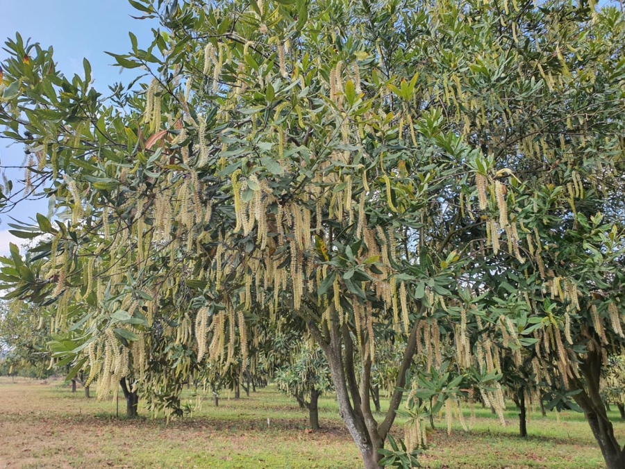 0 Bedroom Property for Sale in Hilltop Mpumalanga