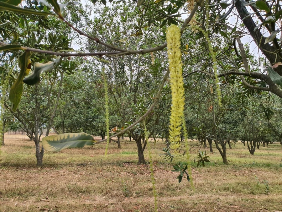 0 Bedroom Property for Sale in Hilltop Mpumalanga