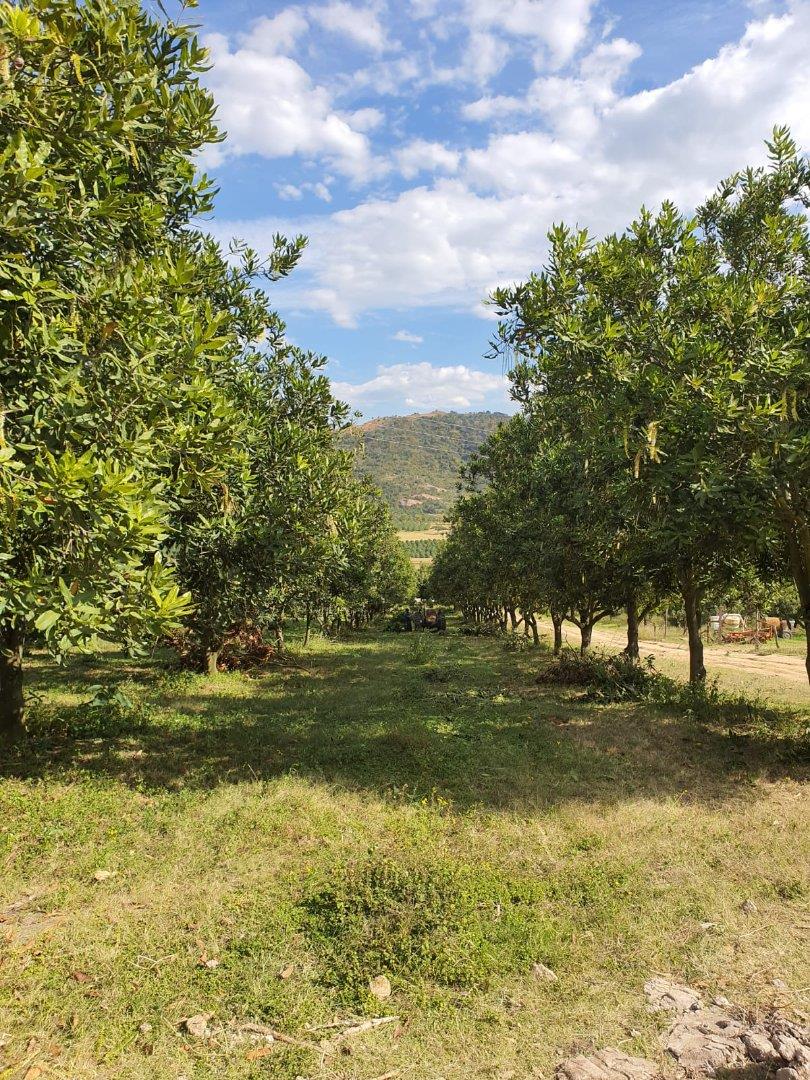 0 Bedroom Property for Sale in Hilltop Mpumalanga